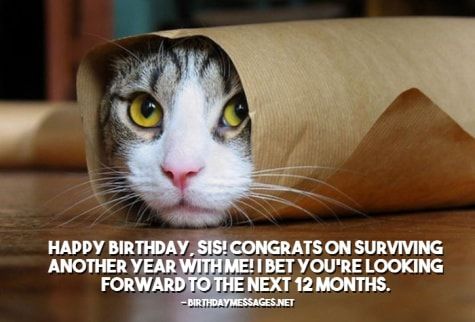 funny birthday memes for sister